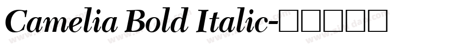 Camelia Bold Italic字体转换